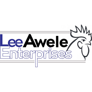 LewAwele Enterprise logo