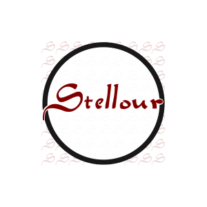 Stellour Group Corporration Limited 思图信息科技（上海）有限公司 logo