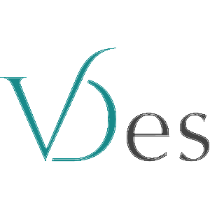 VDEs logo