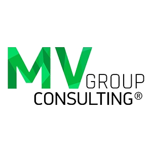 MV Group Consulting logo