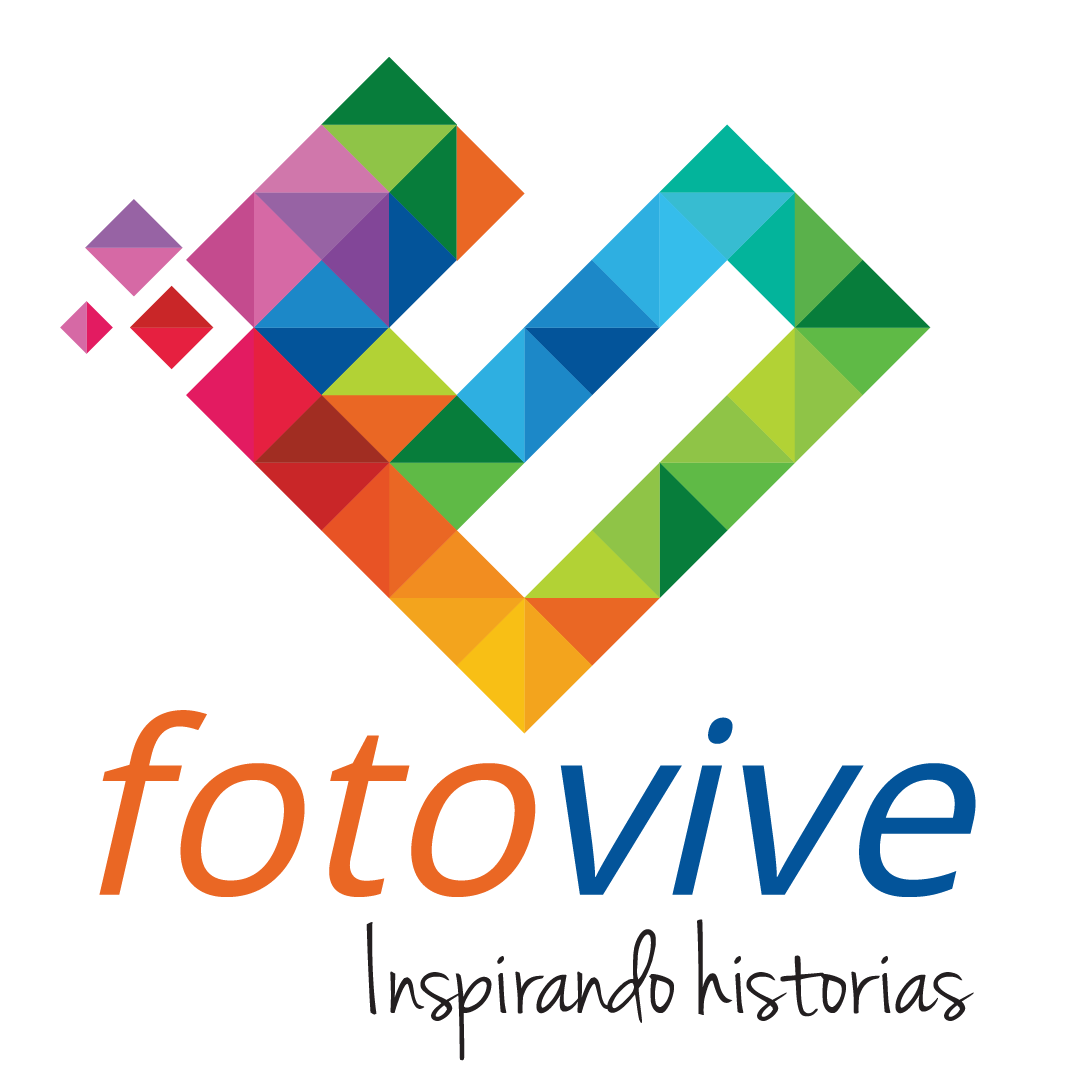 Proyecto Vive International In logo